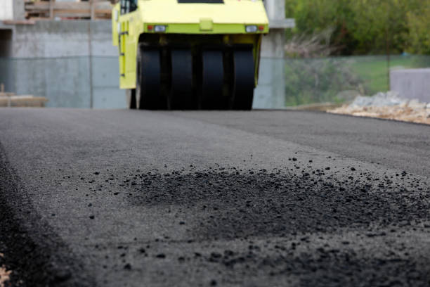 Best Local Driveway Pavers  in Bishop, CA